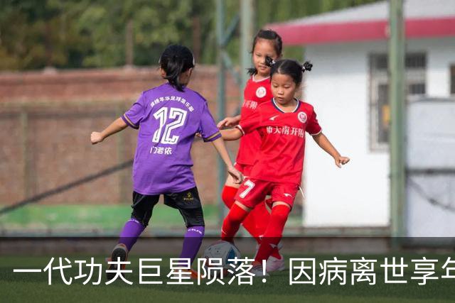 一代功夫巨星陨落！因病离世享年80岁，小30岁妻子含泪完成告别