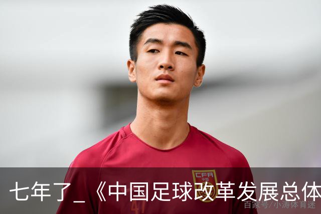 七年了 《中国足球改革发展总体方案》坚定落实了吗