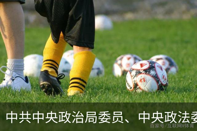 中共中央政治局委员、中央政法委书记陈文清主持召开专题会议强调，依法从严查处危害食品安全违法犯罪，守护好人民群众“舌尖上的安全”