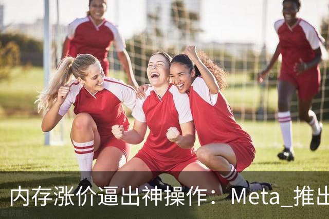 内存涨价逼出神操作：Meta 推出压缩内存，读取速度接近原生 DRAM！