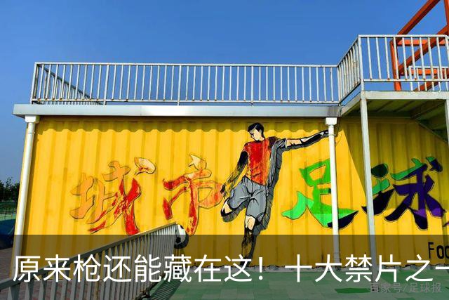 原来枪还能藏在这！十大禁片之一的日本复仇片脑回路真重口味