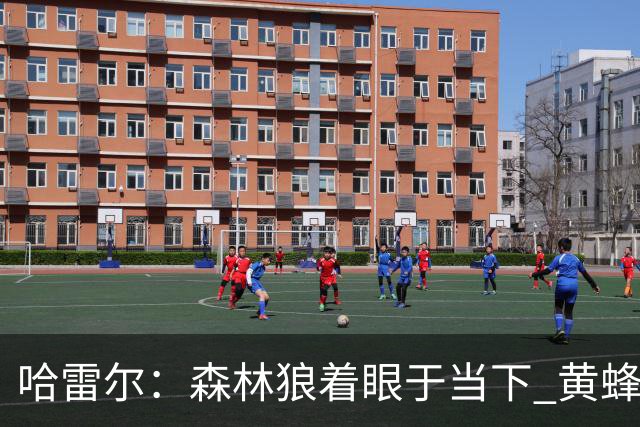 哈雷尔：森林狼着眼于当下 黄蜂考虑未来&若总无缘季后赛就该重建