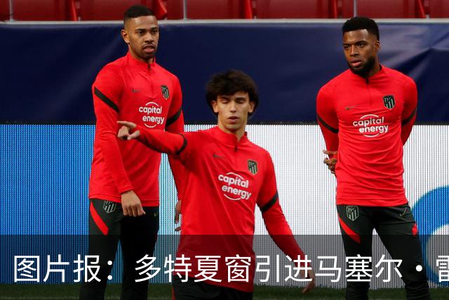 图片报：多特夏窗引进马塞尔·雷古拉失败后，打算在冬窗再次尝试