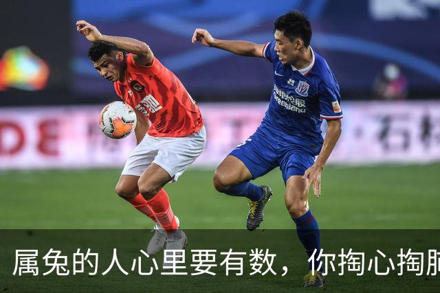属兔的人心里要有数，你掏心掏肺对人家，对方根本不在意，今年秋天那个看似与你针锋相对的人，其实是来渡你的