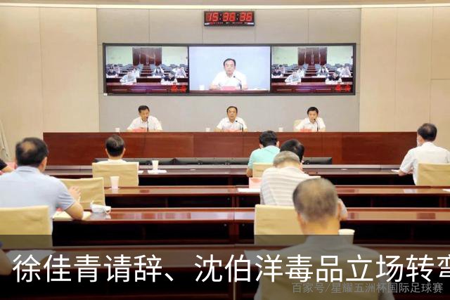 徐佳青请辞、沈伯洋毒品立场转弯，王鸿薇讽：选举真的治百病