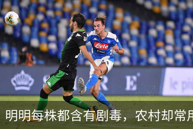 明明每株都含有剧毒，农村却常用来做腌菜，如今为何消失不见？
