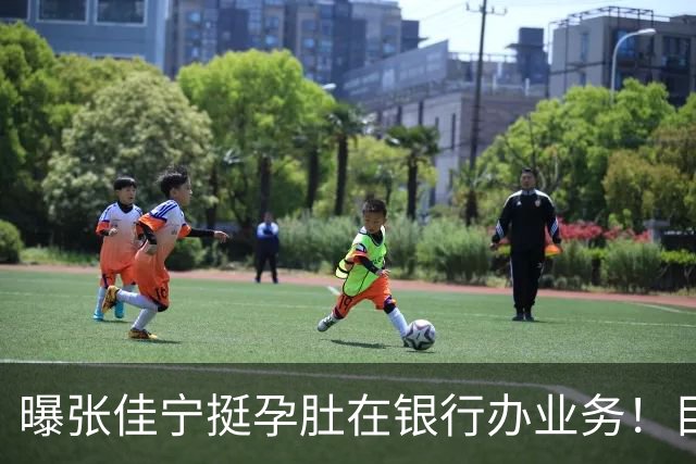 曝张佳宁挺孕肚在银行办业务！目测已六七个月，孩子爹孕期未现身