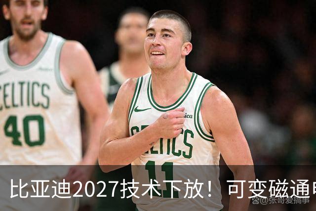 比亚迪2027技术下放！可变磁通电机+第六代混动全面普及