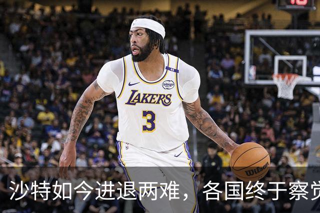 沙特如今进退两难，各国终于察觉到不对劲：中国最开始的选择没错