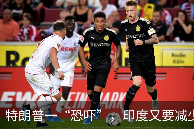 特朗普一“恐吓”，印度又要减少俄原油进口了