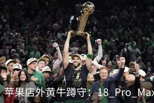 苹果店外黄牛蹲守：18 Pro Max加价500，18 Pro遭冷落