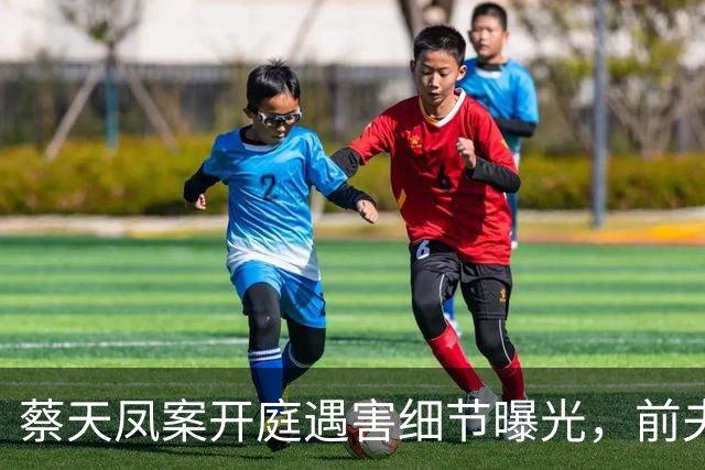 蔡天凤案开庭遇害细节曝光，前夫父子分头行事，车上行凶全程冷静