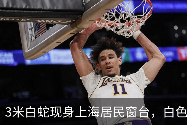3米白蛇现身上海居民窗台，白色大蛇静静趴在窗外缓慢蠕动，住户被当场吓到，网友看到画面直呼瞬间理解许仙