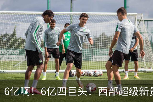 6亿啊！6亿四巨头！西部超级新贵球队诞生
