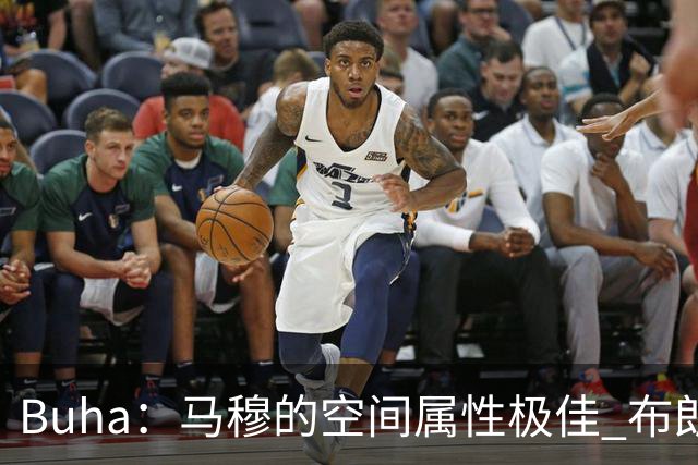 Buha：马穆的空间属性极佳 布朗尼很难挤进常规轮换阵容